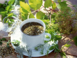 Herb Tea with Various Fresh Herbs