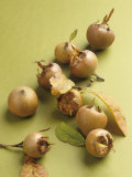 Medlars with Leaves