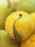 Buy Mirabelle at AllPosters.com