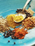Buy Spices: Turmeric, Paprika, Allspice, Coriander, Chili at AllPosters.com