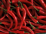 Buy Thai Chili Peppers at AllPosters.com