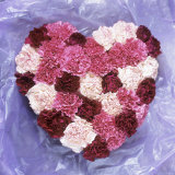 Buy Heart Shape in Red and White Carnations at AllPosters.com