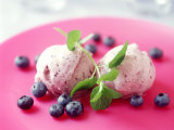 Blueberry Ice Cream with Sprig of Mint