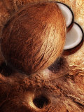 Buy Artistically Arranged Still Life with Coconuts at AllPosters.com