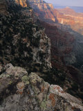 Buy View Off of the North Rim of the Grand Canyon at AllPosters.com