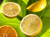Buy Citrus Fruits on Banana Leaves at AllPosters.com