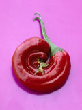 Buy Chili Pepper, Round at AllPosters.com