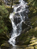 Buy Waterfall in Shennongjia Forest, Hubei Province, China at AllPosters.com