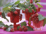 Small Bouquets of Raspberries and Redcurrants