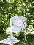 Buy Tray of Coffee and Lemonade on a Cushion in Grass at AllPosters.com