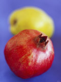Buy Pomegranate, with Quince Behind at AllPosters.com