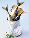 Three Fish (Mackerel) in a Tin