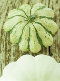 Buy Green and White Striped Patty Pan Squash at AllPosters.com