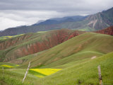 Buy Wheat and Rapeseed Fields in a Mountainous Landscape, Qinghai, China at AllPosters.com