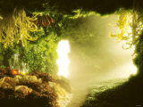 Buy Cavern of Various Lettuces at AllPosters.com
