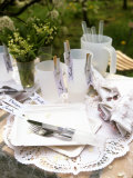 White Table Decoration for a Spring Party or Picnic