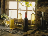 Still Life with White & Red Wine Bottles at a Window