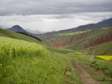 Buy Wheat and Rapeseed Fields and Distant Mountains, Qinghai, China at AllPosters.com
