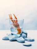 Buy Freshwater Crayfish in a Glass of Water at AllPosters.com