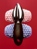 Manual Lemon Squeezer and Two Brushes