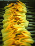 Courgette Flowers on a Market Stall