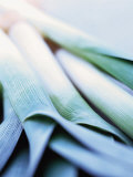 Leek Stalks