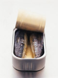 Sardines in Opened Tin