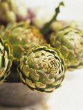 Fresh Artichokes