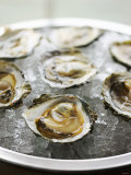 Buy Oysters on Ice at AllPosters.com