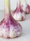 Three Fresh Garlic Bulbs