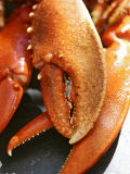 Buy Lobster Claws at AllPosters.com