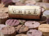 Buy Wine Corks from Chile at AllPosters.com