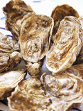 Buy Fresh Oysters at AllPosters.com