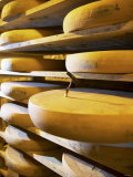 Comte Cheeses with Cheese Tester in Fort de Rousse Cheese Cellar