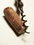 Wine Cork with Corkscrew