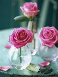 Three Pink Roses in Vases on a Garden Table