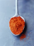 Ground Paprika on Spoon