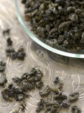 Green Tea (Dried Tea Leaves)