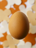 An Egg