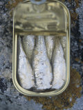 Buy Sardines in a Tin at AllPosters.com