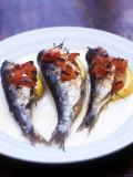 Buy Grilled Sardines with Tomatoes and Lemon Wedges at AllPosters.com
