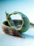 Buy Two Borlotti Beans at AllPosters.com