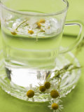 Chamomile Flowers and Chamomile Tea