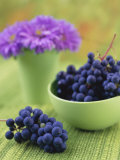 Black Grapes in a Bowl