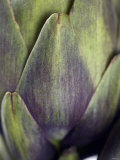 An Artichoke