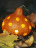 Buy Hollowed Out Pumpkin with Holes and Light Inside at AllPosters.com