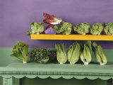 An Assortment of Lettuces and Salad Leaves
