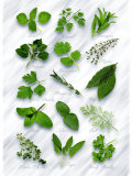 Various Herbs on Marble