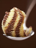 Chocolate and Vanilla Ice Cream on a Spoon
