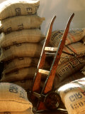 Coffee Beans in Burlap Bags in Warehouse